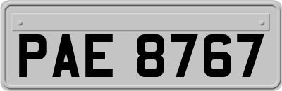 PAE8767