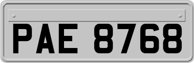 PAE8768