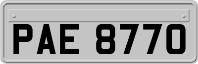 PAE8770
