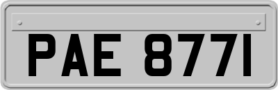 PAE8771