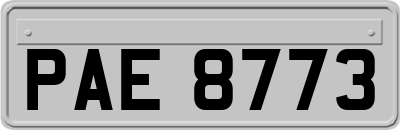 PAE8773