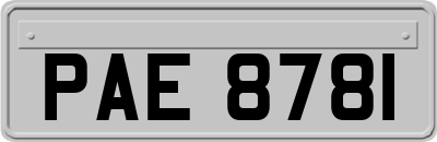 PAE8781
