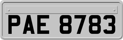 PAE8783