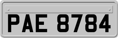 PAE8784