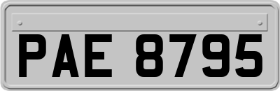PAE8795