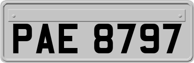 PAE8797