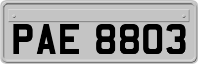 PAE8803