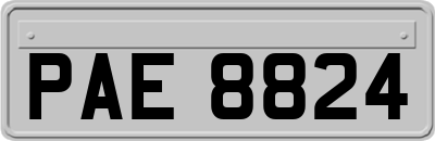 PAE8824