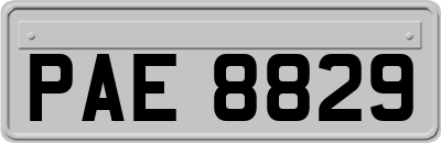 PAE8829