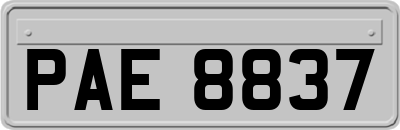 PAE8837
