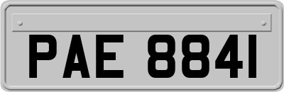 PAE8841