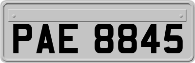 PAE8845