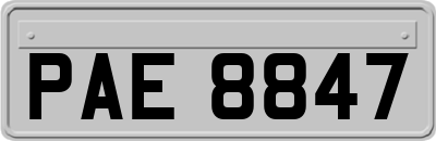 PAE8847