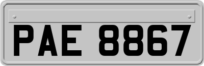 PAE8867