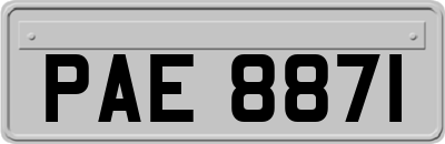 PAE8871
