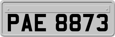 PAE8873