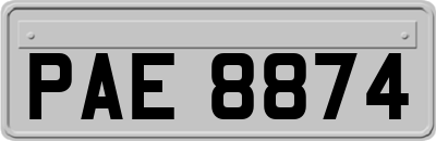PAE8874