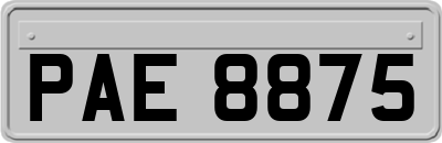 PAE8875