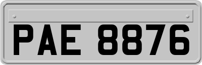 PAE8876
