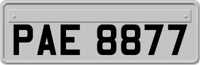 PAE8877