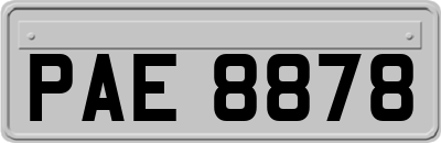 PAE8878