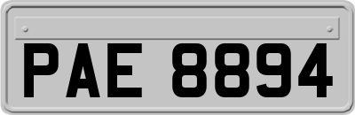 PAE8894
