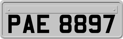 PAE8897