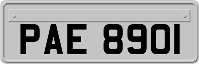 PAE8901