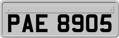 PAE8905