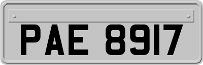 PAE8917