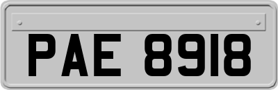 PAE8918