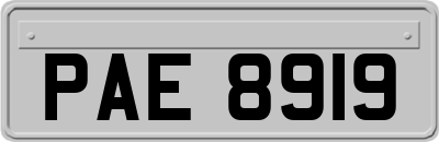 PAE8919