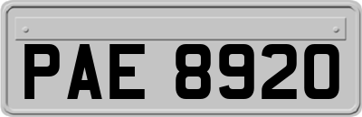 PAE8920