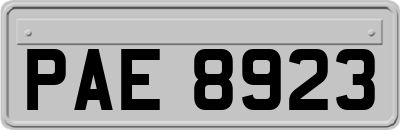 PAE8923