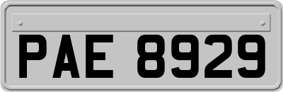 PAE8929