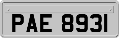 PAE8931