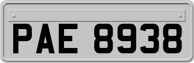 PAE8938