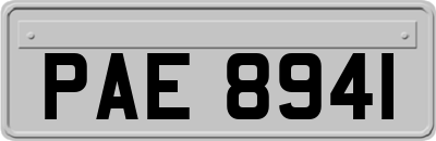 PAE8941