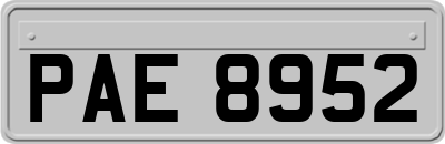 PAE8952