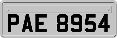 PAE8954