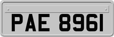 PAE8961