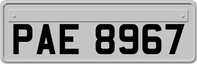 PAE8967
