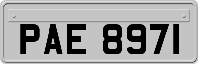 PAE8971