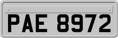 PAE8972