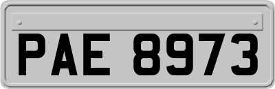 PAE8973