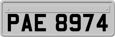 PAE8974