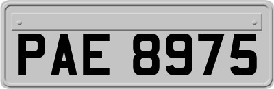 PAE8975