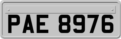 PAE8976