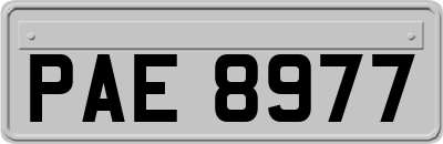 PAE8977