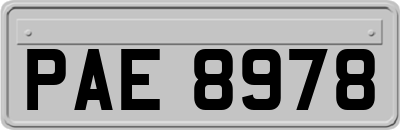 PAE8978